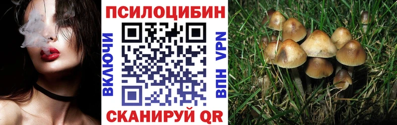 KRAKEN tor  Кизляр  Галлюциногенные грибы мухоморы 