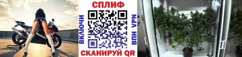 Бошки Шишки AK-47  Кизляр 